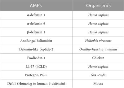 Unraveling the intricate link between cell death and neuroinflammation using Drosophila as a model